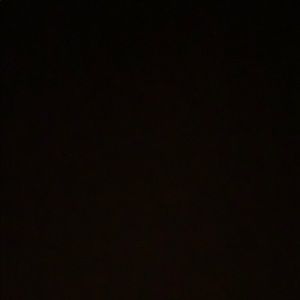 Meet your Posher, Max